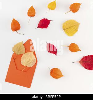 Kreative, oben flach Herbst Zusammensetzung Briefumschlag getrocknete orangen Blüten Blätter Hintergrund Kopie Platz Square Vorlage mockup Herbsternte. Stockfoto