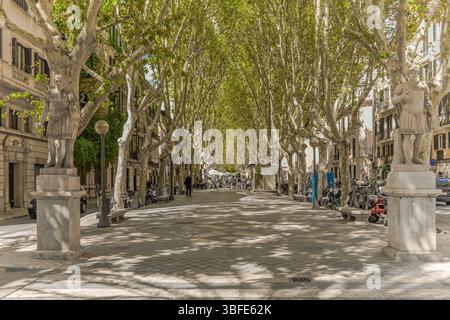 Passeig des Born - Einkaufsmeile und Promenade von Palma de Mallorca - 2739 Stockfoto