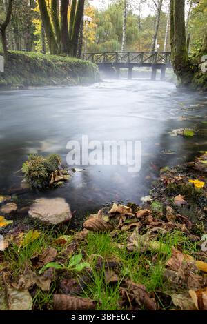 Quelle des Flusses Bosna, Sarajevo-Ilidza. An einem kühlen Morgen schwebt ätherischer Nebel über dem ruhigen Fluss, umgeben von grünen Bäumen. Malerisch Stockfoto