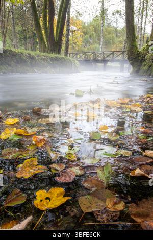 Quelle des Flusses Bosna, Sarajevo-Ilidza. An einem kühlen Morgen schwebt ätherischer Nebel über dem ruhigen Fluss, umgeben von grünen Bäumen. Malerisch Stockfoto