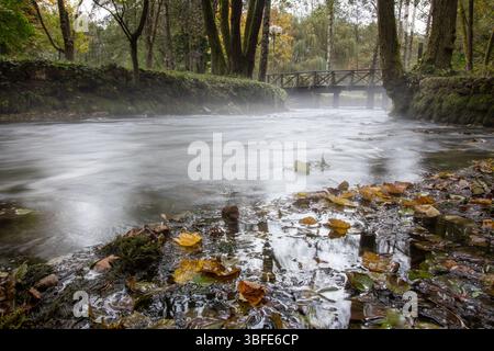 Quelle des Flusses Bosna, Sarajevo-Ilidza. An einem kühlen Morgen schwebt ätherischer Nebel über dem ruhigen Fluss, umgeben von grünen Bäumen. Malerisch Stockfoto
