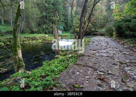Quelle des Flusses Bosna, Sarajevo-Ilidza. Ein ruhiger Bach fließt durch einen grünen Wald, begleitet von einem zerklüfteten Steinweg. Sanfter Sonnenlichtfilter Stockfoto