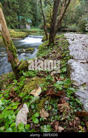 Quelle des Flusses Bosna, Sarajevo-Ilidza. Ein ruhiger Bach fließt durch einen Wald, der von moosbedeckten Felsen umgeben ist. Das Licht am frühen Morgen wird besser Stockfoto