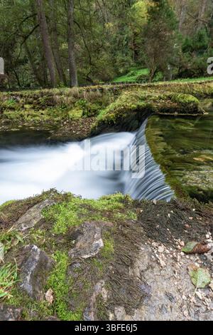 Quelle des Flusses Bosna, Sarajevo-Ilidza. Ein ruhiger Bach fließt durch einen Wald, der von moosbedeckten Felsen umgeben ist. Das Licht am frühen Morgen wird besser Stockfoto