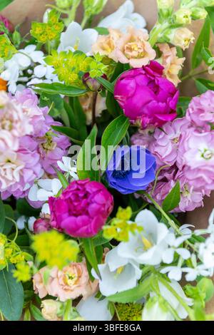 Blumenstrauß aus gemischten Frühlingsblumen. Wunderschöne farbenfrohe Blumenarrangements. Geburtstagsstrauß mit Schnappdrachen, Pfingstrosen und Matthiola Stockfoto