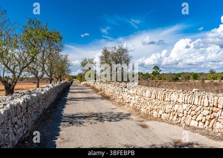 Landstraße auf Mallorca - 5649 Stockfoto