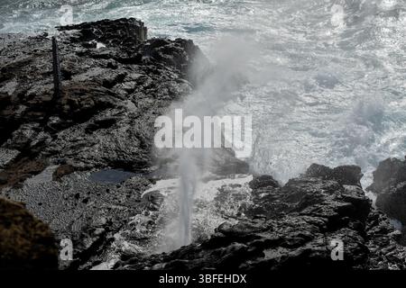 Halona Blowhole in Oahu entsteht durch vulkanische Aktivität, die Tunnel im vulkanischen Gestein bildet Stockfoto