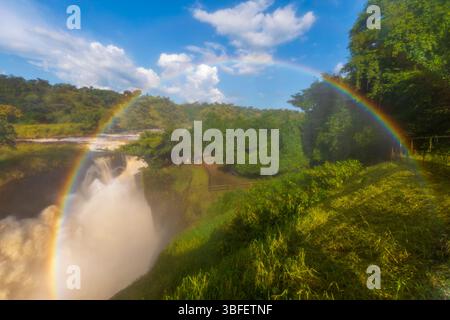 Über den Murchison Falls (Kabalega Falls), zwischen dem Kyoga-See und dem Albert-See am Victoria Nile River im Nordwesten Ugandas, bildet sich ein Regenbogenbogen Stockfoto