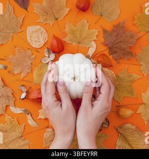 Herbst flach Zusammensetzung mit weißen Kürbis in weibliche Hände und trockene Blätter auf Bold orange Farbe Hintergrund. Kreative Herbst, Erntedank, Herbst, ha Stockfoto