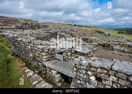 Housesteads Roman Fort an der Stelle von Hadrian's Wall, Northumberland, England, Großbritannien Stockfoto