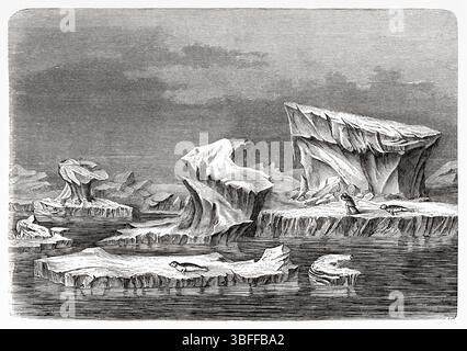 Labyrinth von Eisbergen, Grönland. Zweite deutsche Nordpolexpedition der Schiffe La Germania und La Hansa 1869-1870 durch Kapitän Paul Friedrich August Hegemann (1836–1913) Le Tour du Monde 1874 Stockfoto
