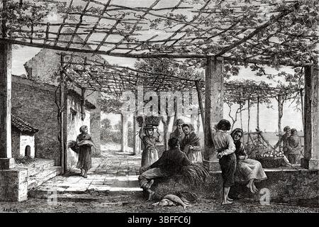Traditionelles Haus im Dorf Ventimiglia, Riviera di Ponente, Provinz Imperia, Region Ligurien, Italien. Zeichnung von Taylor. Reise nach Menton und Bordighera, 1871 von Adolphe Joanne (1813–1881) Le Tour du Monde 1874 Stockfoto