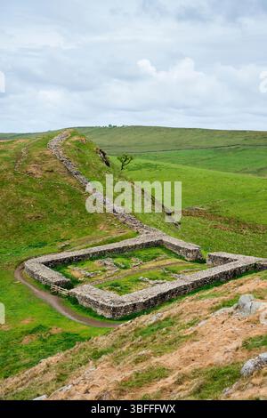 Milecastle 39 an der Hadrian's Wall, Northumberland, Großbritannien Stockfoto