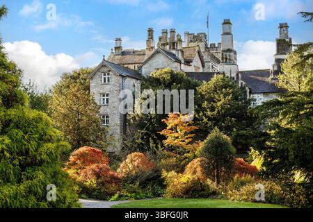 Acer im Herbst in den Gärten des Herrenhauses Sizergh Castle, Helsington, Lake District, Cumbria, England, UK Stockfoto