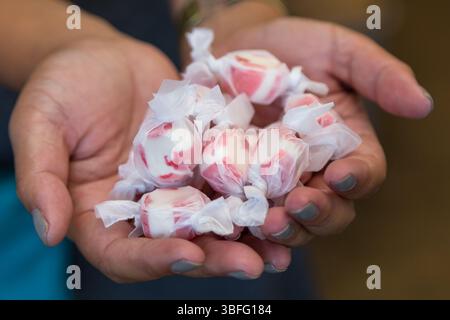 Bruce's Candy Kitchen, Cannon Beach, Oregon – 2. September 2017: Hände halten einen Haufen gewickelter, rot-weißer Taffy. Stockfoto