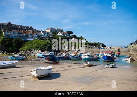 Fischerboote ruhen bei Ebbe auf dem Sand im Newquay Harbour, Cornwall, Großbritannien, mit Häusern an der Küste und blauem Himmel im Hintergrund. Stockfoto