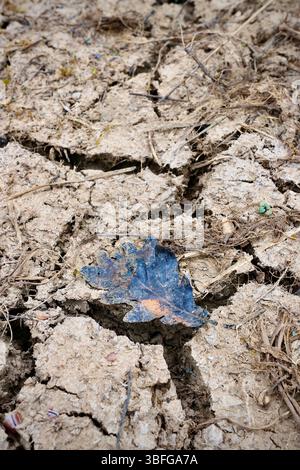 Ein einzelnes Eichenblatt ruht auf gerissener Erde und symbolisiert Dürre und Umweltauswirkungen. Der Kontrast unterstreicht die Widerstandsfähigkeit der Natur Stockfoto