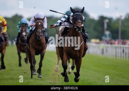 Term of Endearment und Tom Marquand in Aktion während der William Hill Bronte Cup Fillies Stakes Group 3 auf der York Racecourse. Stockfoto