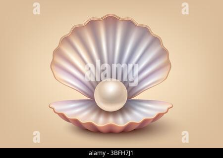 Vektor 3D-realistische Perle in Shell. Perlenvektor mit glänzender Perle auf rosa Muschel. Luxus Marine Illustration für Schmuck Design, Spa Branding Stock Vektor