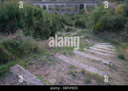 Treppen aus Holz an einem Hang im Grünen Stockfoto