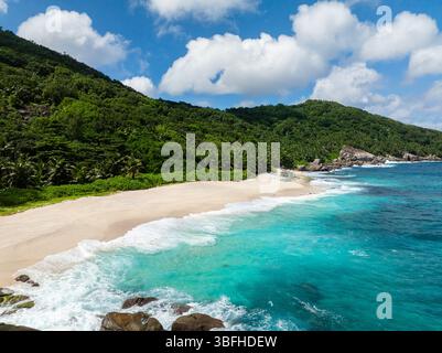 Blick aus der Vogelperspektive auf den tropischen Strand mit Palmen und einem blauen Meer. Seychellen, Mahe. Anse Petit Boileau. Stockfoto