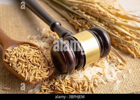 Beurteilen Sie den Hammer mit gutem Getreidreis von der landwirtschaftlichen Farm. Gesetz und Gericht Konzept. Stockfoto