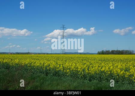 Stromleitungstürme in offener ländlicher Landschaft Stockfoto
