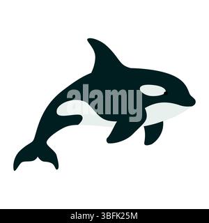 Flache Illustration eines Killerwals, Orca, mit schwarz-weißen Markierungen. Minimalistisches Meerestier-Design, ideal für Meereslebethemen, lehrreich Stock Vektor