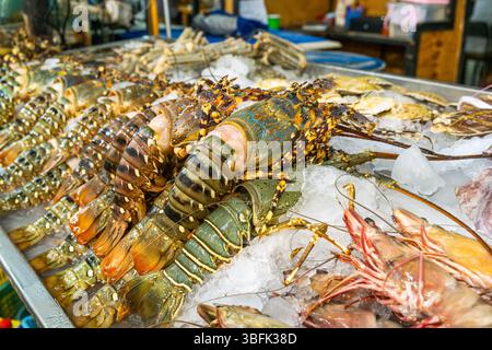 Frische Hummer und Tigergarnelen auf zerstoßenem Eis an der Fischtheke im Supermarkt zum Verkauf. Riesengarnelen, die sich auf dem Regal des Lebensmittelgeschäfts abkühlen Stockfoto