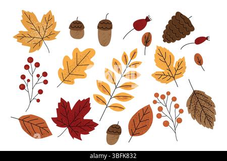 Herbstkollektion mit bunten Herbstblättern, Beeren, Eicheln und Tannenzapfen. Hand gezeichneter flacher Vektorstil auf weißem Hintergrund. Perfekt für die Saison Stock Vektor