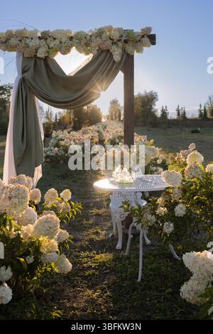 Üppiger blühender Garten mit Hortensien, schöner Fotobereich, Dekoration für den Rest der Fotografie. Blumenlandschaft im Hintergrund der Sonne Stockfoto