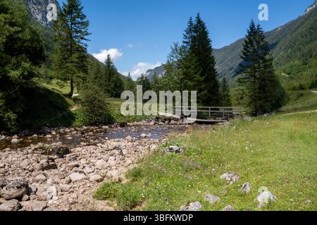 Rocky Mountain Stream With Wooden Bridge In The Berchtesgaden National Park In Bavaria, Germany. Hiking And Mountain Bike Trail Amidst Wildflower Mead Stockfoto