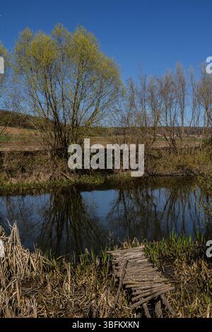 A serene pond reflects the clear blue sky and surrounding trees with maturing foliage indicating the onset of spring in this peaceful rural area. Stockfoto