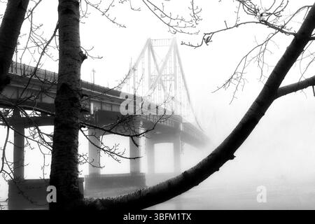 Aus der ätherischen Umarmung des Nebels erhebt sich eine einsame Brücke. Stockfoto