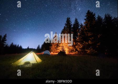 Mehrere Zelte, beleuchtet durch glühendes Lagerfeuer auf einer grasbewachsenen Rodung unter klarem Sternenhimmel. Umgeben von hohen Kiefern in den Bergen. Die ruhige Schönheit der Nacht, die Sie in der Natur verbracht haben. Stockfoto