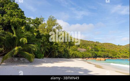 Ein ruhiger tropischer Strand mit weichem, weißem Sand, lebhaften grünen Palmen und klarem, blauem Wasser unter einem hellen, sonnigen Himmel. Ein ideales Reiseziel Stockfoto