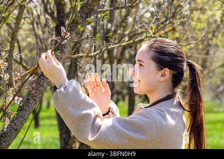 Agrospezialistin untersucht Pflanzenwachstum in warmen Gewächshäusern mit Tablette. Professioneller Agro-Spezialist, der die Qualität von Bäumen kontrolliert Stockfoto