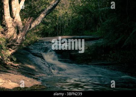 Ruhiger kleiner Wasserfall, der über glatte Felsen fließt und von üppiger Waldvegetation in natürlichem Licht umgeben ist, schafft eine ruhige und ruhige Atmosphäre. Stockfoto