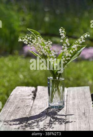 Frische Maiglöckchen in Glasvase auf Holztisch im Freien Stockfoto