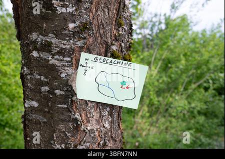 Geocaching, Freizeitaktivitäten im Freien, Navigation zum Verstecken und Suchen von Containern, Geocache-Standort im Wald, Schatzjagd-Spiel, Hinweis auf Baum tr Stockfoto