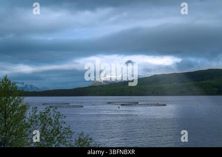 Lachsfischzuchtringe im Meer in Norwegen Stockfoto
