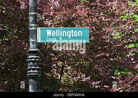 Grünes Straßenschild mit der Aufschrift „Wellington Court“, das an einem viktorianischen Lampenpfosten hängt, vor einem Hintergrund von Frühlingsbäumen mit rosa und grünen Blättern. Stockfoto