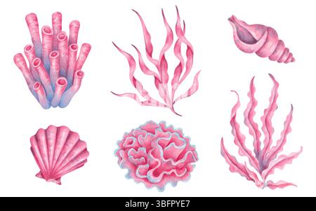 Sammlung von Meereselementen Korallen, Algen und Muscheln, Meerespflanzen. Aquarellabbildung. Unterwassercharakter des Meeresbodens. Handgezeichnet isoliert AR Stockfoto