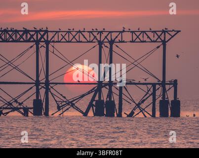 Sonnenuntergang hinter dem West Pier in Brighton Stockfoto