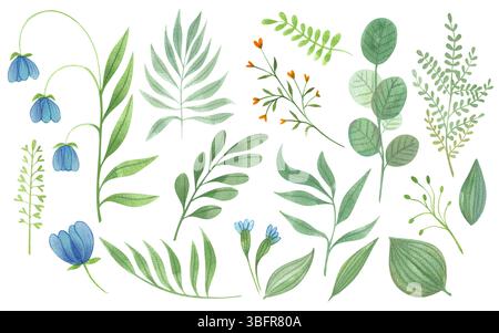 Set von Blumen, Blättern, Blumen Aquarell Illustrationen Hand gezeichnet isoliert auf weißem Hintergrund. Frühling und Sommer Set farbenfroher Pflanzen. Stockfoto