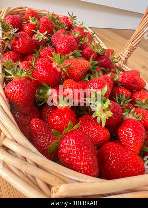 Ein Korbkorb gefüllt mit Reifen roten Erdbeeren. Die lebendige Frucht ist ordentlich angeordnet und zeigt ihre natürliche Textur und Farbe. Perfekt zum Essen Stockfoto