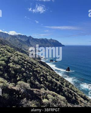 Zerklüftete Klippen und der tiefblaue Atlantik entlang der nördlichen Küste Teneriffas, Anaga Rural Park, Kanarische Inseln, Spanien Stockfoto