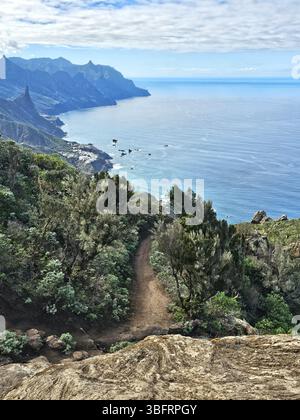 Wanderweg durch einheimische Vegetation mit Panoramablick auf die nördliche Küste Teneriffas, in der Nähe von Benijo, Anaga Rural Park, Kanarischen Inseln, Spa Stockfoto