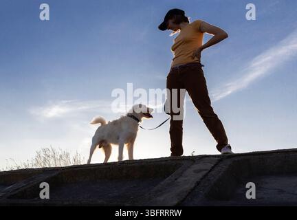 Silhouette einer Frau, die bei Sonnenuntergang neben ihrem geliebten Hund steht. Spazieren Sie mit einem Haustier im Park. Freude an der Kommunikation mit einem vierbeinigen Frien Stockfoto