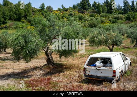 Altes verrostetes Auto in den Olivenhainen in Griechenland Stockfoto